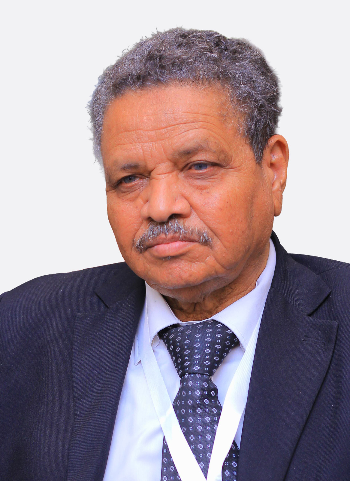 حامد أحمد الطيب